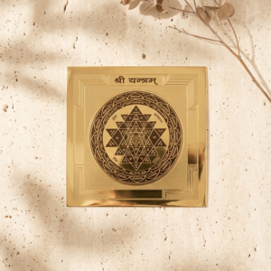 Sacred Puja Yantra Collection